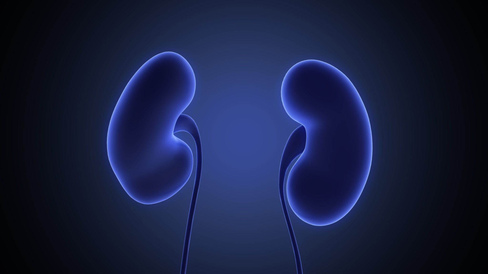 4 Ways To Keep Your Kidneys Happy - Geelong Medical & Health Group